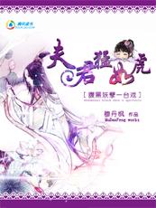 夫君猛如虎:腹黑王爷盗墓妃(穆丹枫)原名