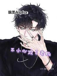 貌美alpha不小心攻了老板