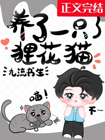 养了一只狸花猫by