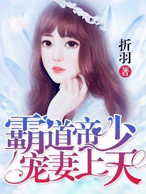 霸道帝少宠妻上天小说