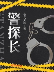 警探长电视剧