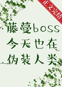 藤蔓BOSS今天也在伪装人类作者:白絮沉