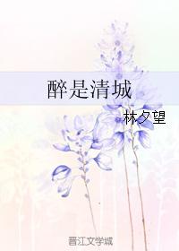 醉城是什么意思