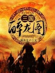 三国醉龙图TXT下载